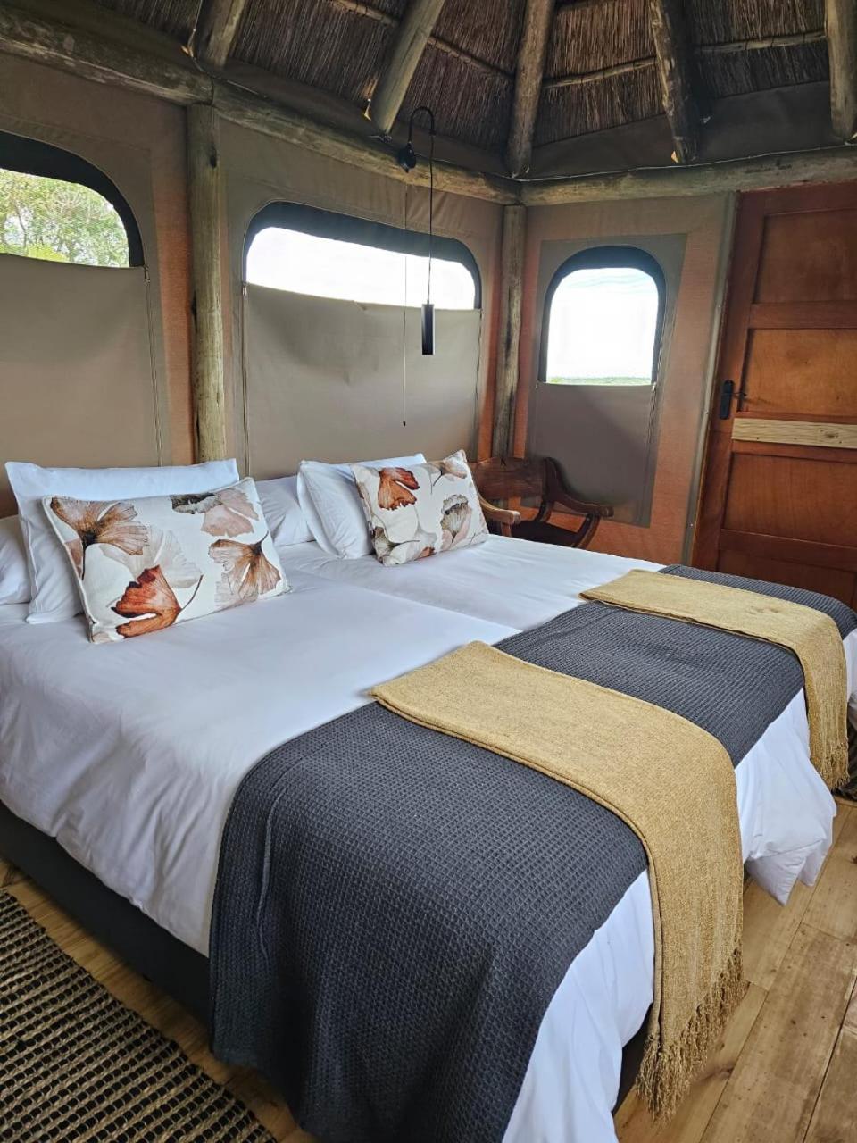 Addo Elephant Safari Lodge - Bellevue Forest Reserve Paterson Exterior foto