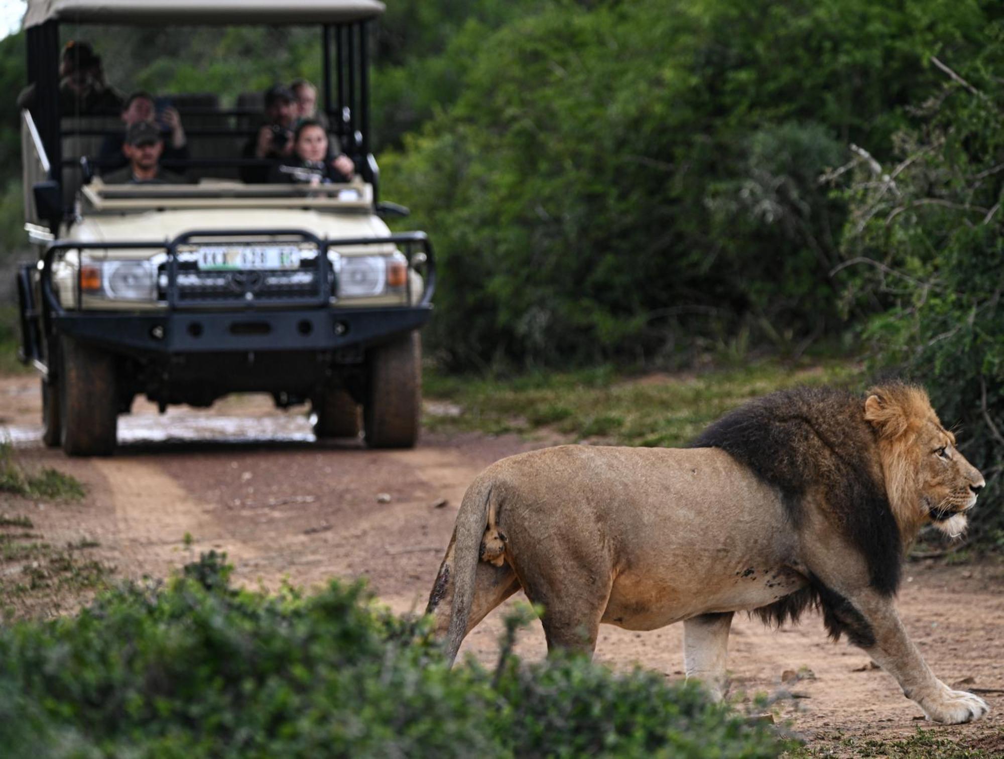 Addo Elephant Safari Lodge - Bellevue Forest Reserve Paterson Exterior foto