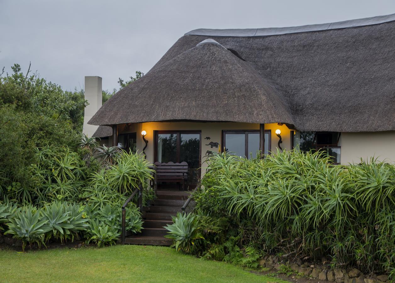 Addo Elephant Safari Lodge - Bellevue Forest Reserve Paterson Exterior foto