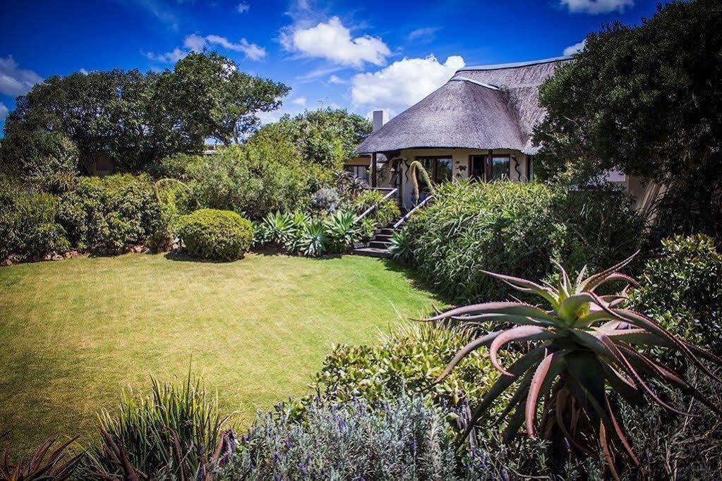 Addo Elephant Safari Lodge - Bellevue Forest Reserve Paterson Exterior foto