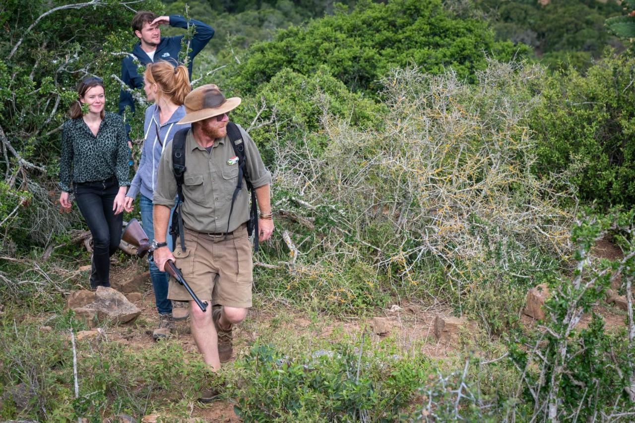 Addo Elephant Safari Lodge - Bellevue Forest Reserve Paterson Exterior foto
