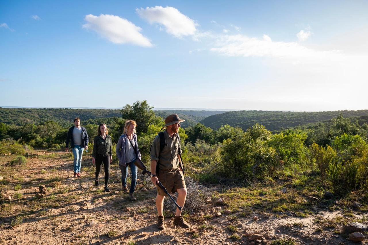 Addo Elephant Safari Lodge - Bellevue Forest Reserve Paterson Exterior foto