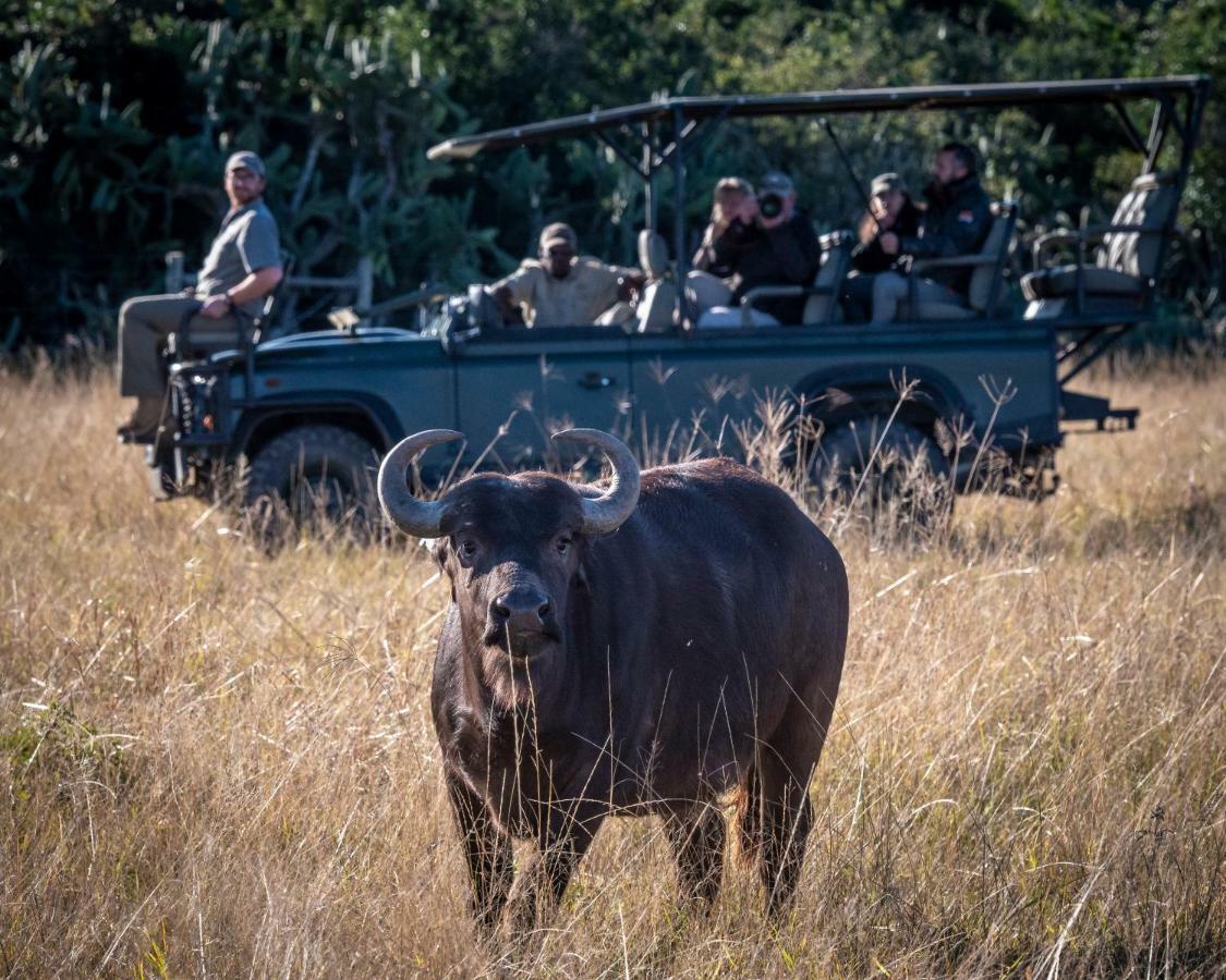 Addo Elephant Safari Lodge - Bellevue Forest Reserve Paterson Exterior foto