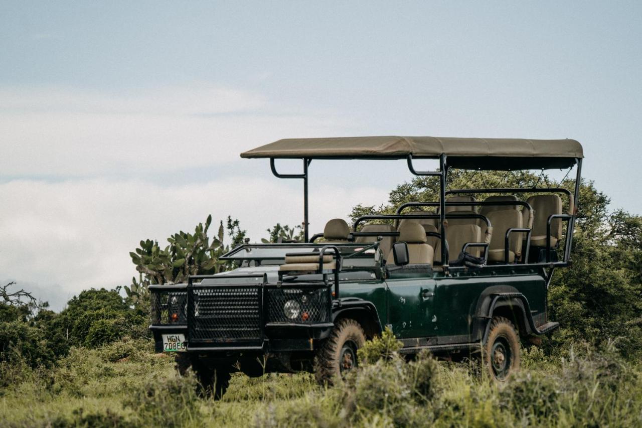 Addo Elephant Safari Lodge - Bellevue Forest Reserve Paterson Exterior foto